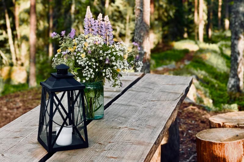 Juhlat Hevonkuusessa