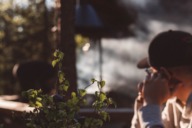 Päiväretket Hevonkuusessa